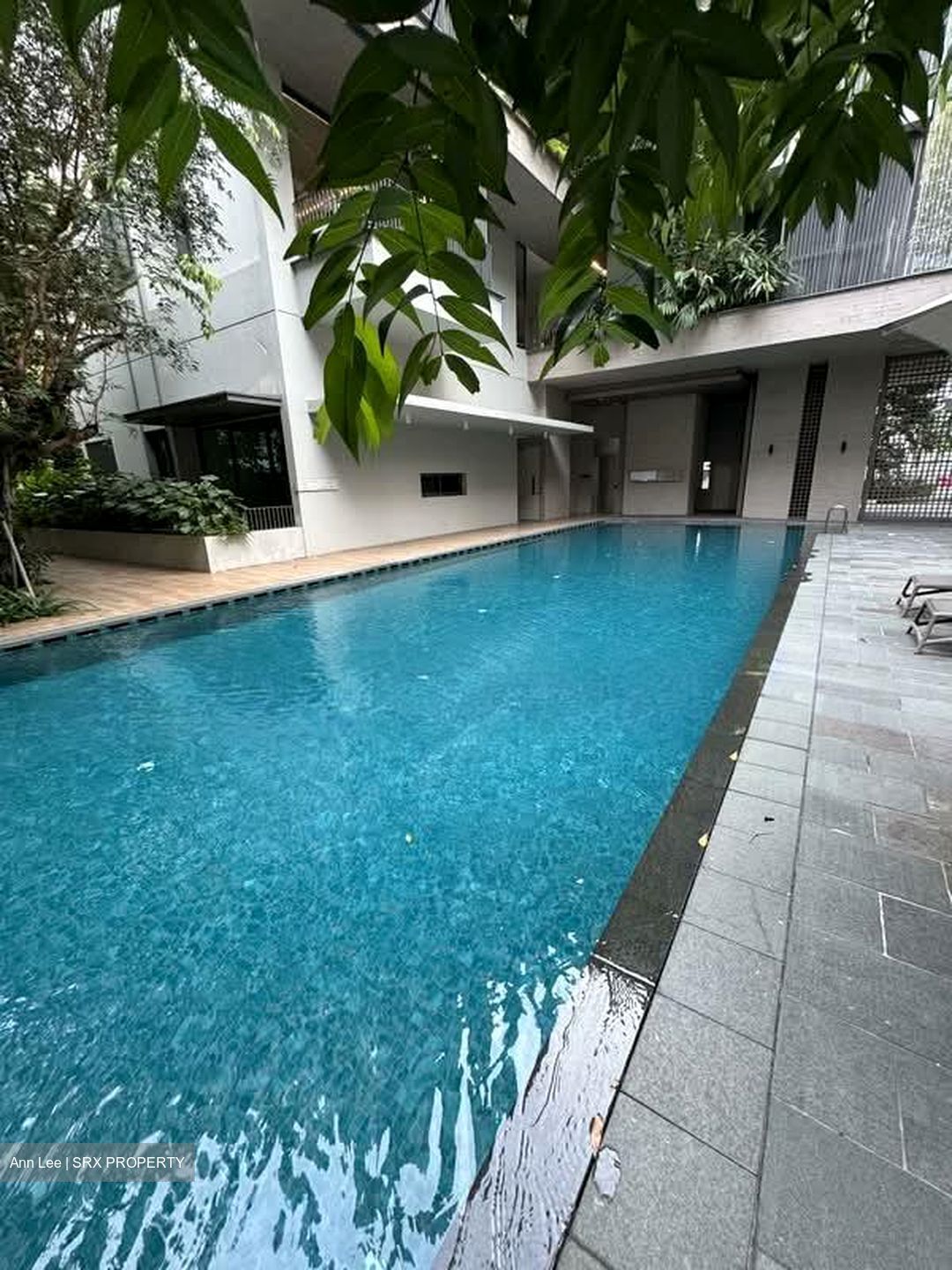 10 Evelyn (D11), Apartment #553484711